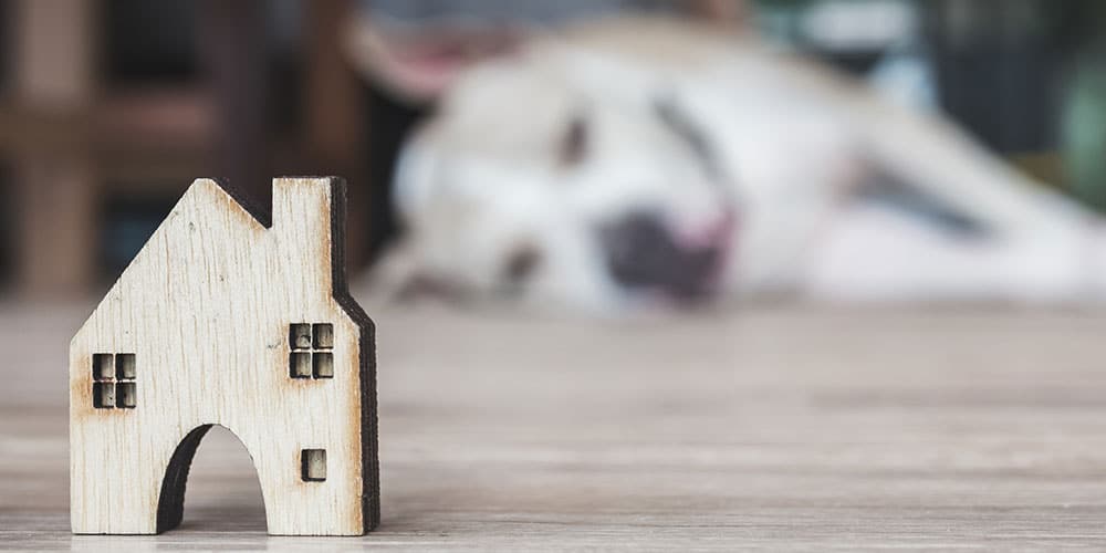 Case e palazzi in legno Case e palazzi in legno